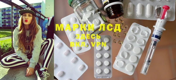 прущие грибы Ахтубинск